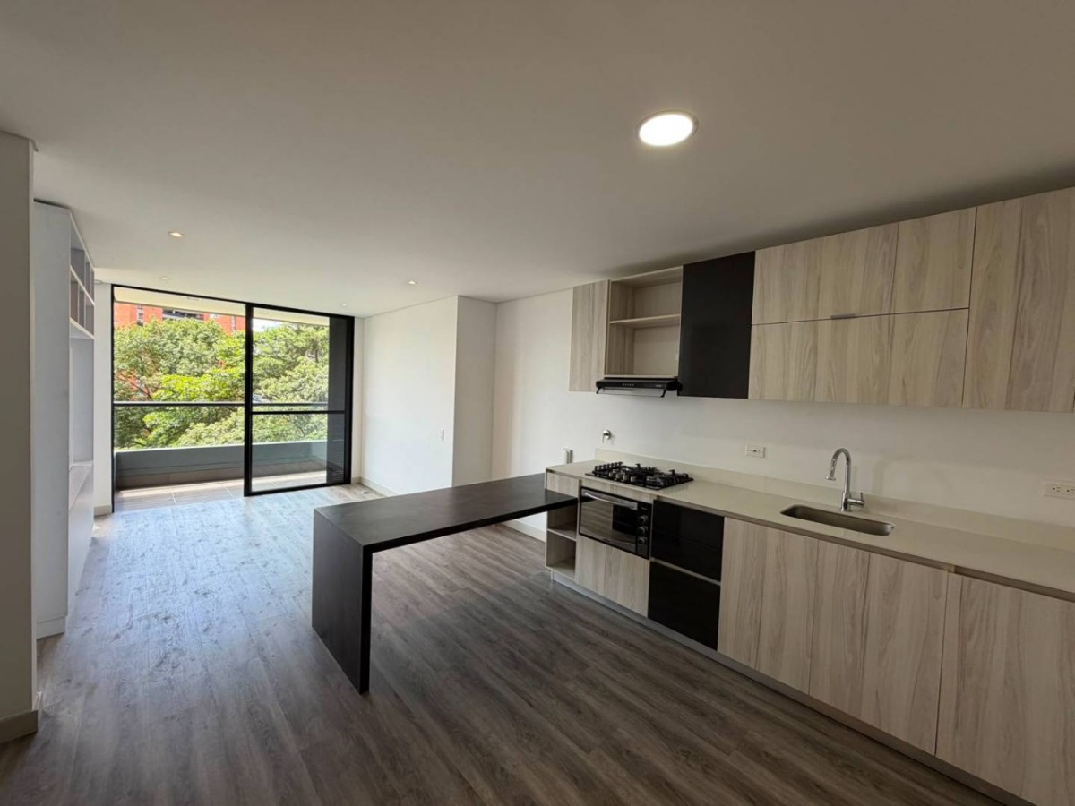 1BR Apartment in El tesoro (60 m²) - 2