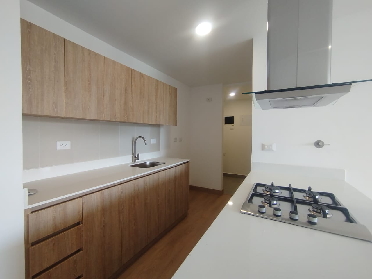 1BR Apartment in Centro (54 m²)