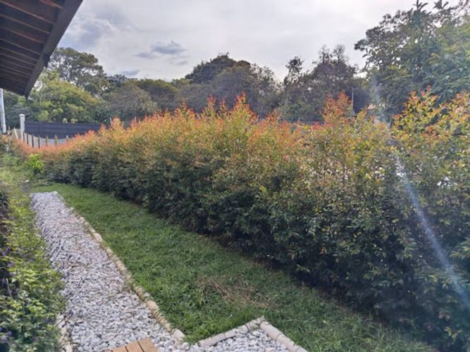 Finca en arriendo en La Mosquita, Rionegro, 220 m² · foto 18 de 22