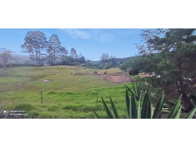 Finca en venta en El Molino, Guarne, 300 m² · foto 4 de 24