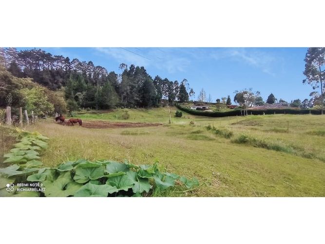 Finca en venta en El Molino, Guarne, 300 m² · foto 5 de 24
