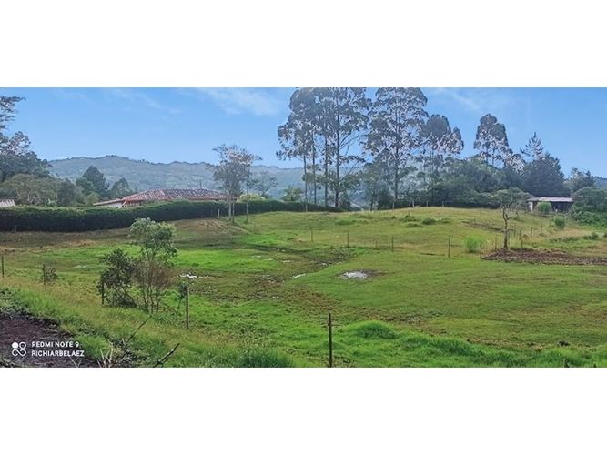 Finca en venta en El Molino, Guarne, 300 m² · foto 6 de 24
