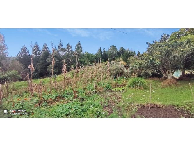 Finca en venta en El Molino, Guarne, 300 m² · foto 9 de 24