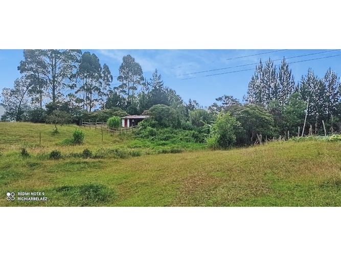 Finca en venta en El Molino, Guarne, 300 m² · foto 10 de 24