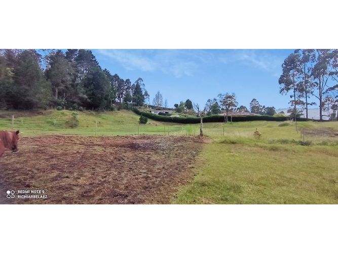 Finca en venta en El Molino, Guarne, 300 m² · foto 12 de 24