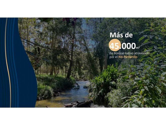 Lote en venta en Pantanillo, El Retiro, 2624 m² · foto 6 de 9