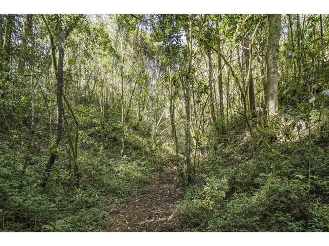 Lote en venta en Lejos Del Nido, El Retiro, 2293 m² · foto 5 de 8
