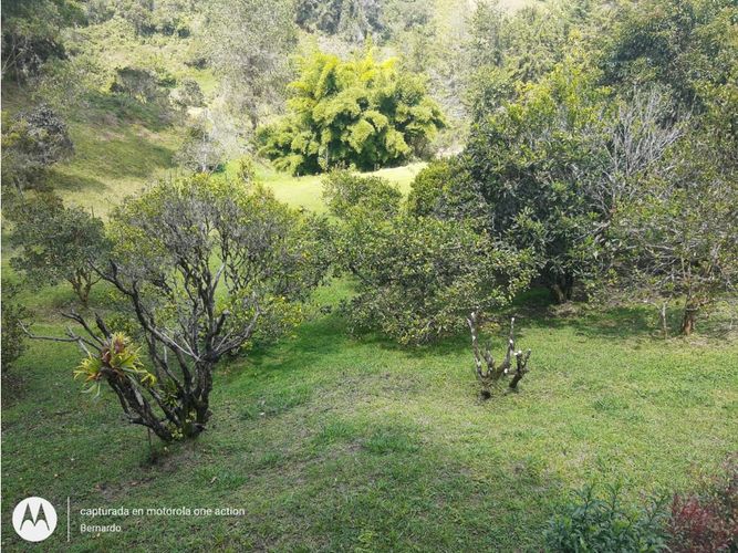 Finca en venta en El Porvenir, Rionegro, 280 m² · foto 3 de 24