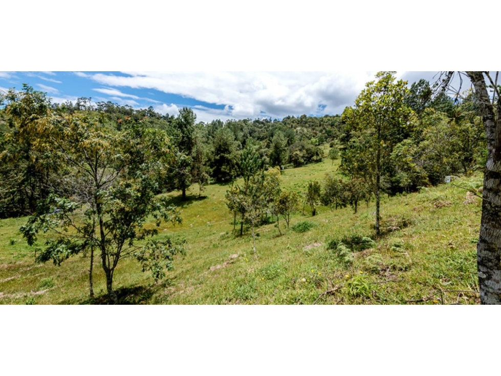 Lote en Venta en El Retiro