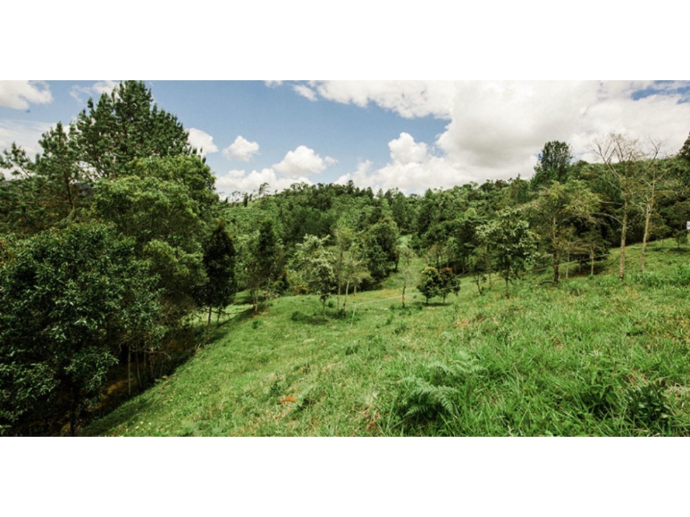 Land in El carmen (1926 m²) for Sale - 2