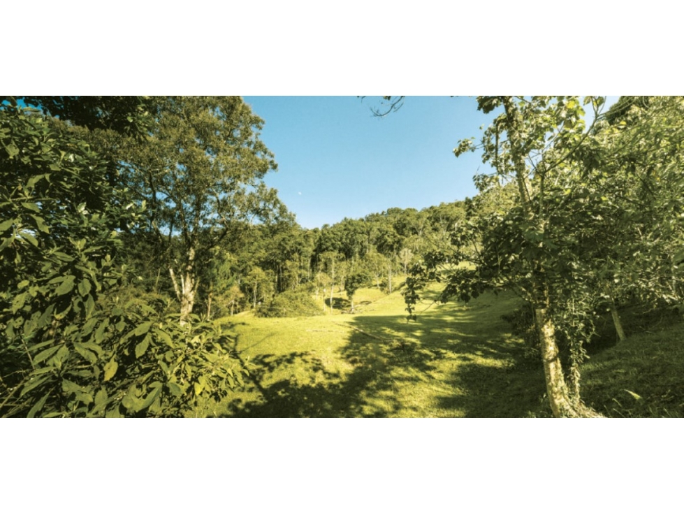 Land in El carmen (1926 m²) for Sale - 3