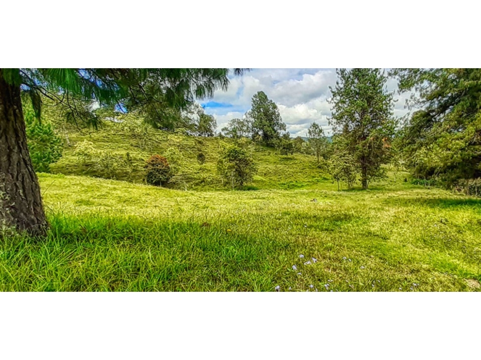 Land in El carmen (1926 m²) for Sale - 4