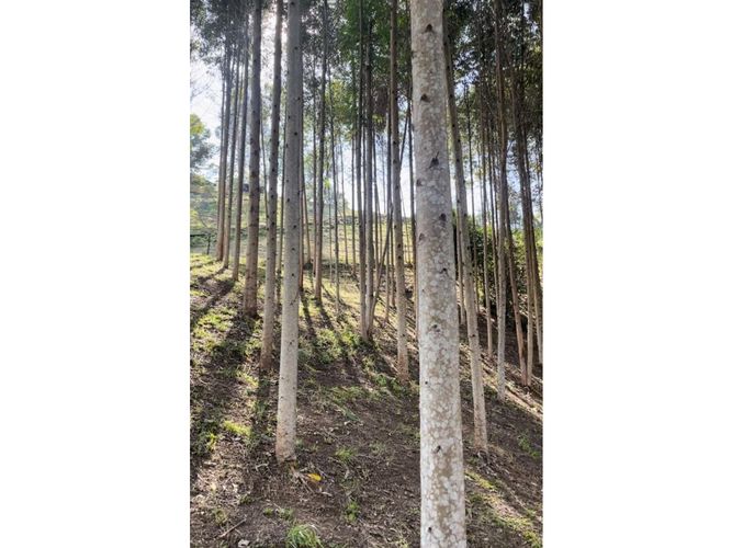 Finca en venta en Nazareth, El Retiro, 216 m² · foto 23 de 24