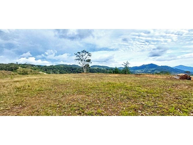 Lote en venta en Pantanillo, El Retiro, 2258 m² · foto 4 de 8