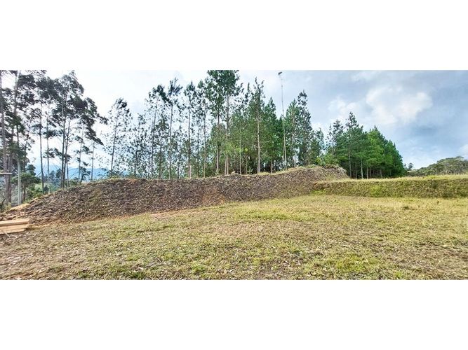 Lote en venta en Pantanillo, El Retiro, 2258 m² · foto 7 de 8