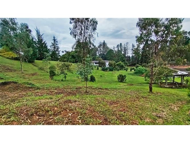 Lote en venta en El Tablazo, Rionegro, 5000 m² · foto 4 de 15