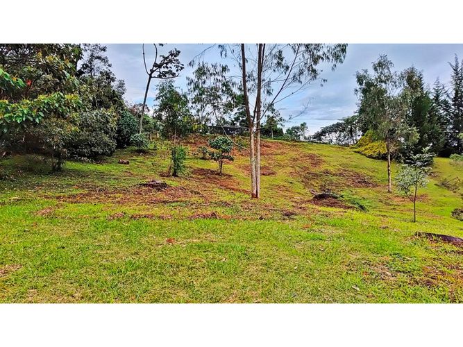 Lote en venta en El Tablazo, Rionegro, 5000 m² · foto 5 de 15