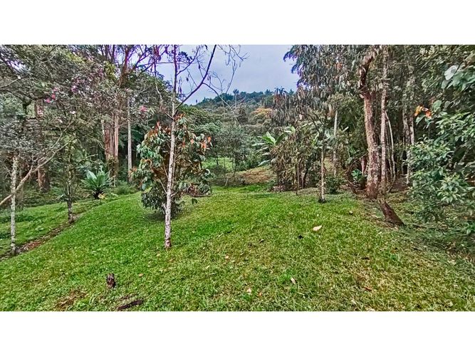 Lote en venta en El Tablazo, Rionegro, 5000 m² · foto 6 de 15