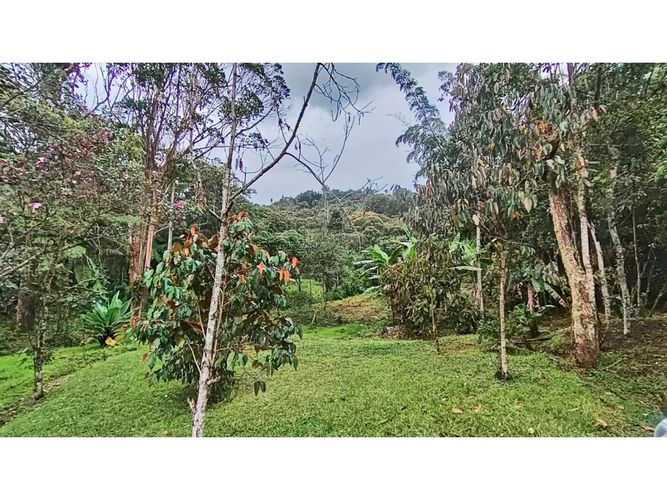 Lote en venta en El Tablazo, Rionegro, 5000 m² · foto 10 de 15