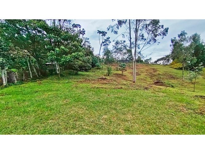 Lote en venta en El Tablazo, Rionegro, 5000 m² · foto 11 de 15