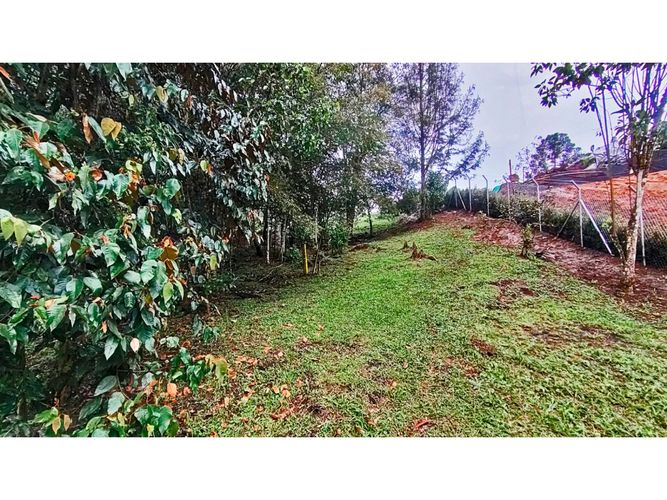 Lote en venta en El Tablazo, Rionegro, 5000 m² · foto 14 de 15