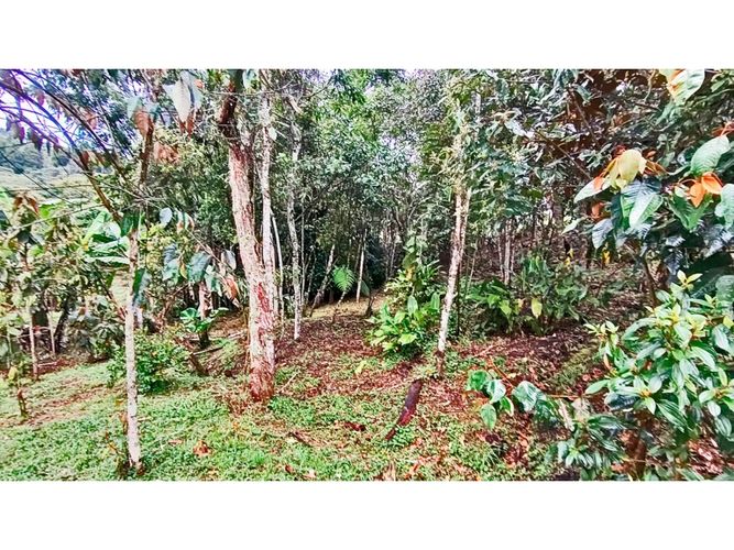 Lote en venta en El Tablazo, Rionegro, 5000 m² · foto 15 de 15
