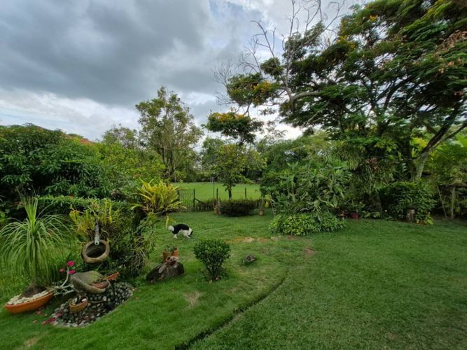 Casa de 3 alcobas en venta en Pance, Cali, 245 m² · foto 3 de 22