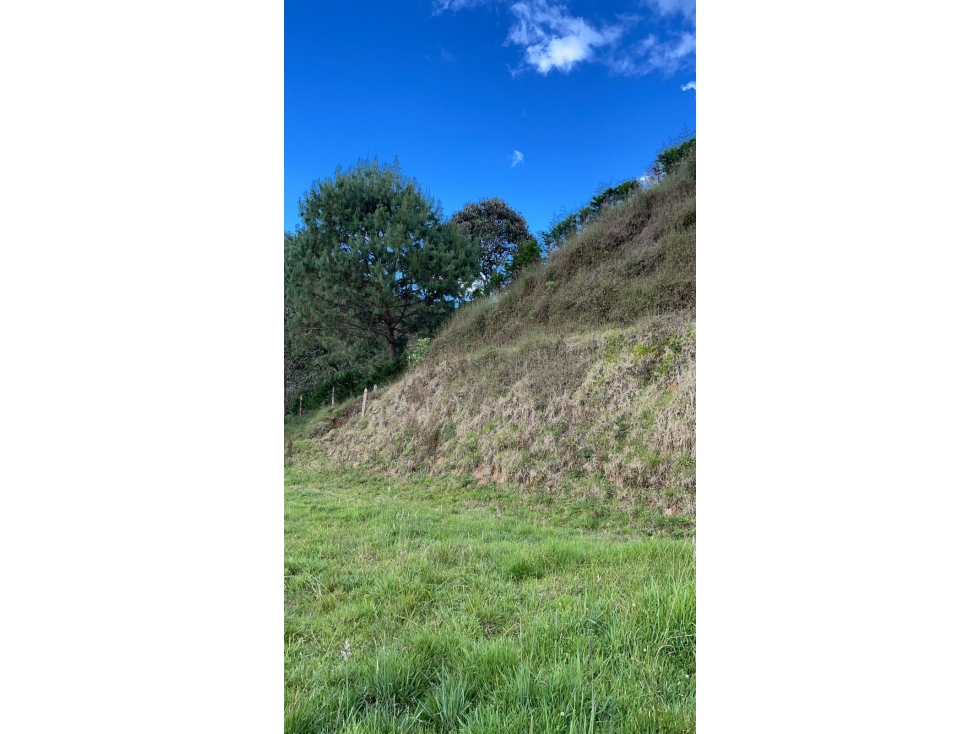 Land in El Portento for Sale - 3