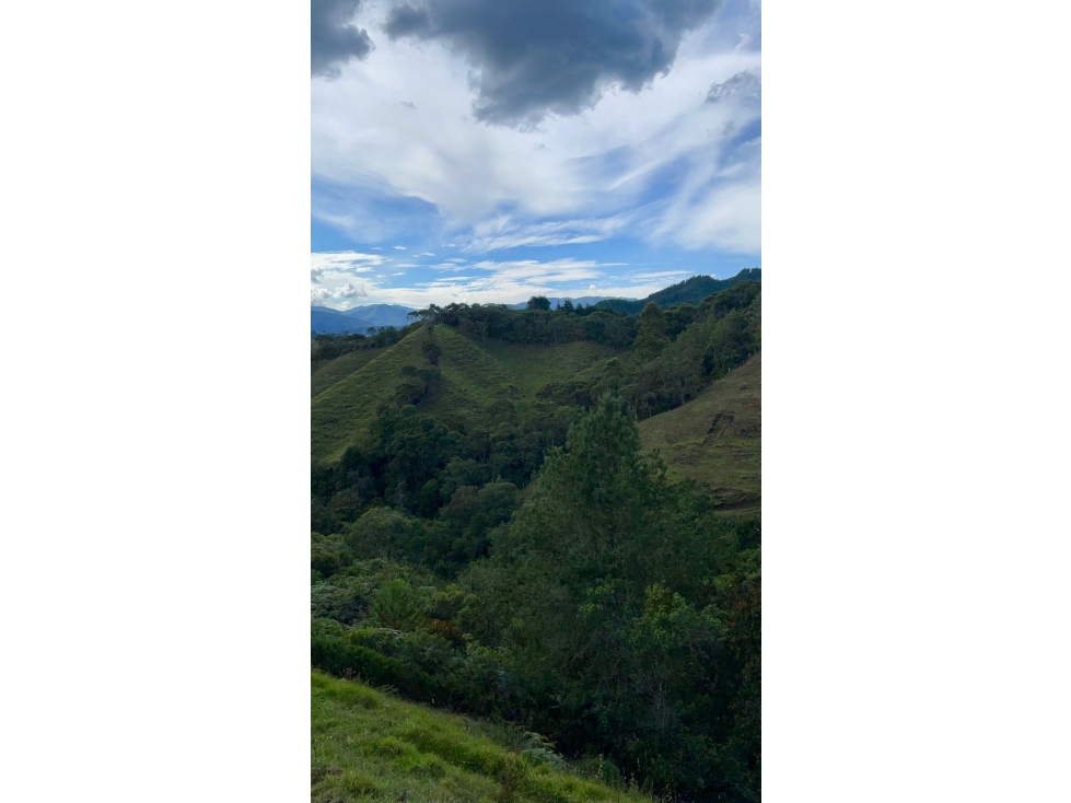 Land in El Portento for Sale - 4