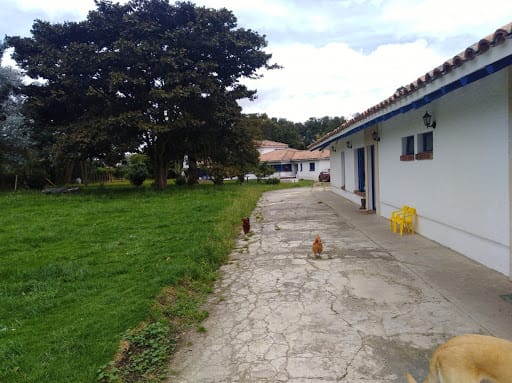 Lote en venta en Pueblo Viejo, Cota, 18000 m² · foto 3 de 10