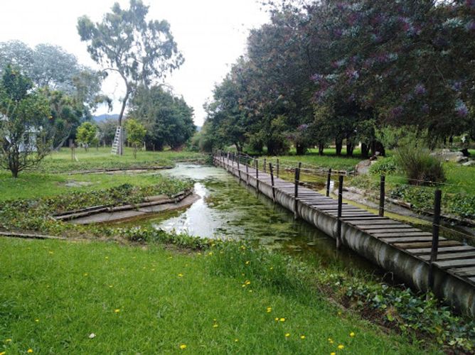 Lote en venta en Pueblo Viejo, Cota, 18000 m² · foto 5 de 10