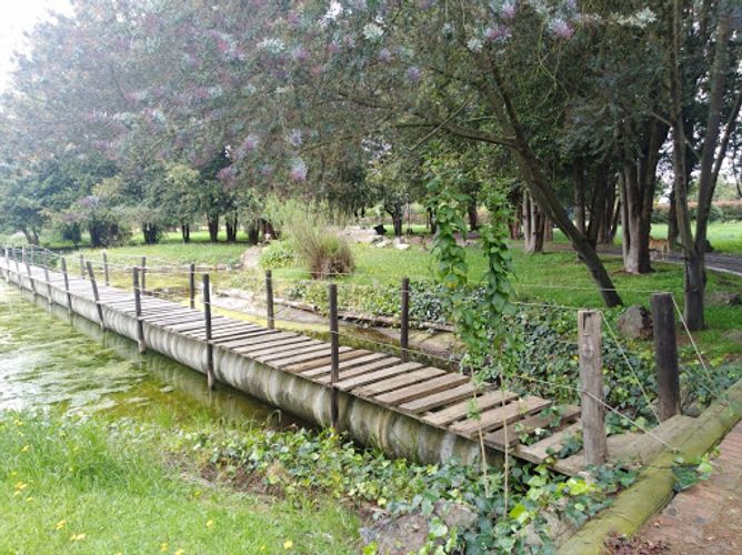 Lote en venta en Pueblo Viejo, Cota, 18000 m² · foto 6 de 10