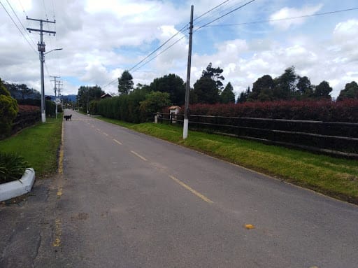 Lote en venta en Pueblo Viejo, Cota, 18000 m² · foto 8 de 10