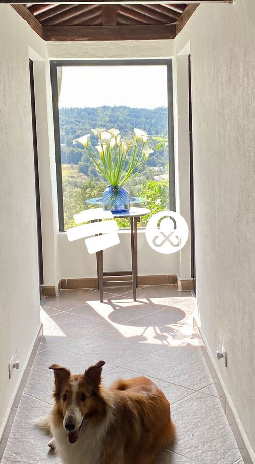 Casa de 5 alcobas en venta en Santa Elena, Medellín · foto 5 de 15