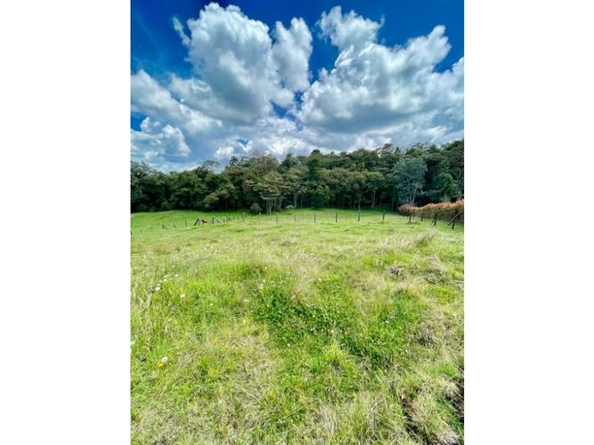 Lote en venta en Las Palmas, Envigado, 8846 m² · foto 2 de 6