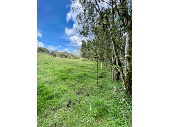 Lote en venta en Las Palmas, Envigado, 8846 m² · foto 3 de 6