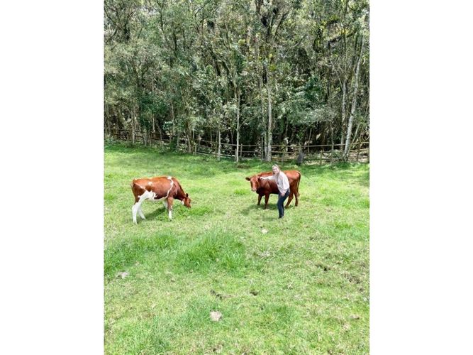 Lote en venta en Las Palmas, Envigado, 8846 m² · foto 4 de 6