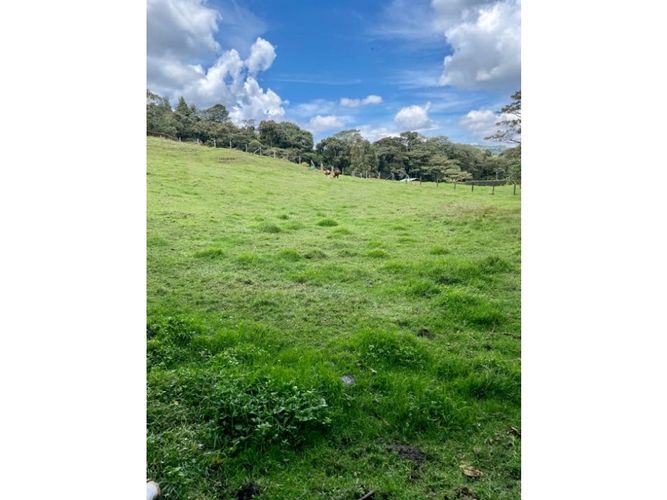 Lote en venta en Las Palmas, Envigado, 8846 m² · foto 5 de 6
