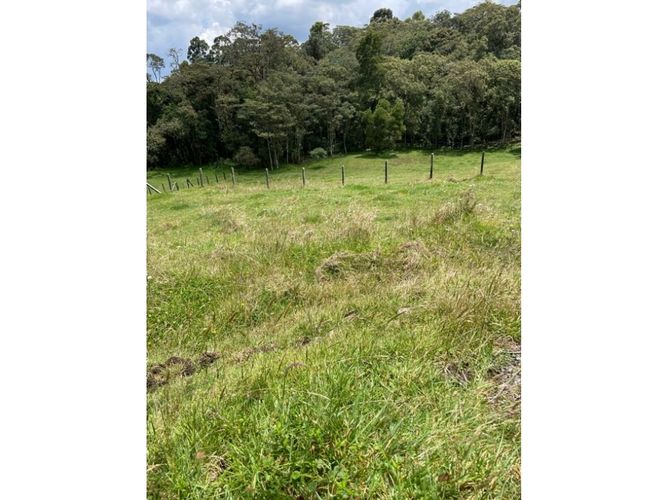 Lote en venta en Las Palmas, Envigado, 8846 m² · foto 6 de 6