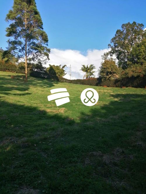 Lote en venta en El Carmen De Viboral, El Carmen de Viboral, 2616 m² · foto 2 de 4