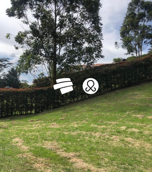 Lote en venta en El Carmen De Viboral, El Carmen de Viboral, 2616 m² · foto 4 de 4