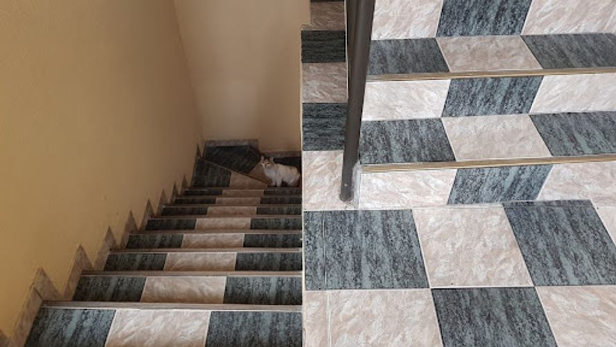 Casa en venta en Nueva Marsella, Bogotá · foto 11 de 24