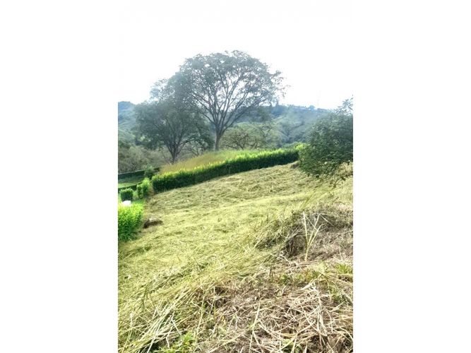 Lote en venta en El Rio, Manizales · foto 2 de 4