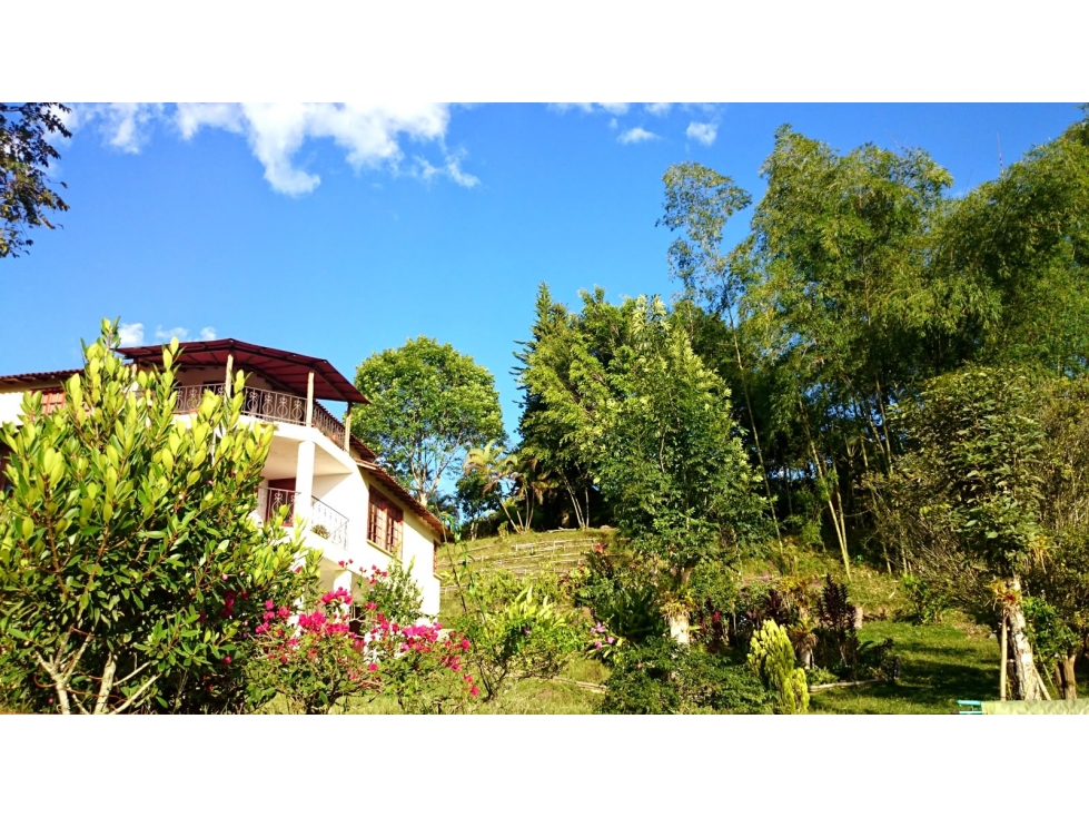 Casa en venta en Condina, Pereira · foto 7 de 24