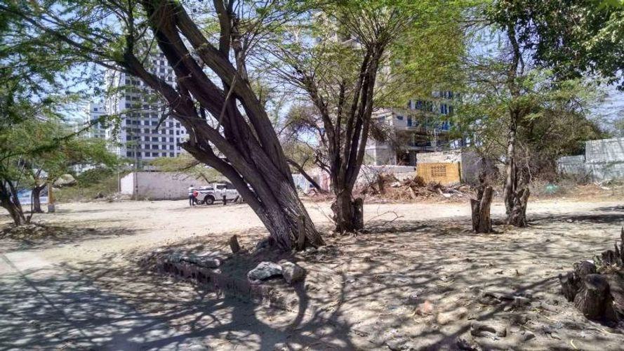 Lote en venta en Rodadero Sur, Santa Marta, 1320 m² · foto 4 de 4