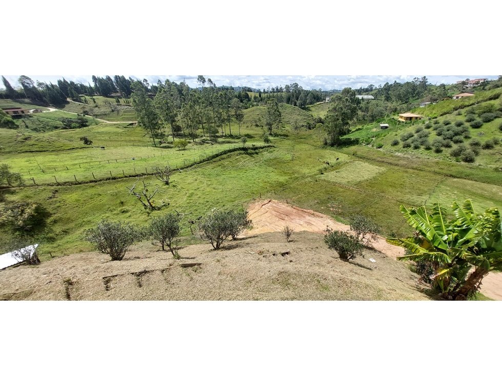 Land in Las Palmas (371 m²) for Sale