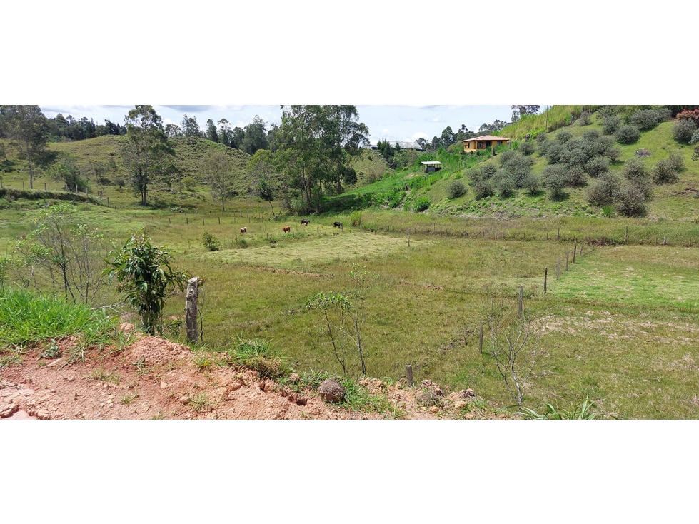 Lote en Venta en Las Palmas, Rionegro - 2