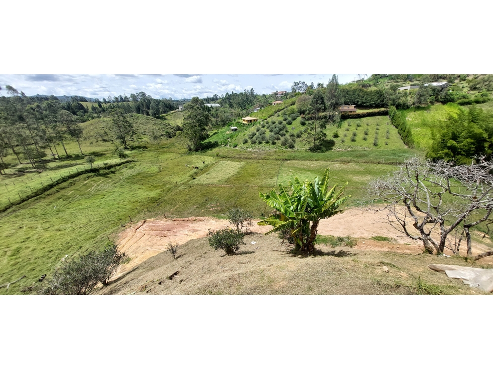 Lote en Venta en Las Palmas, Rionegro - 3