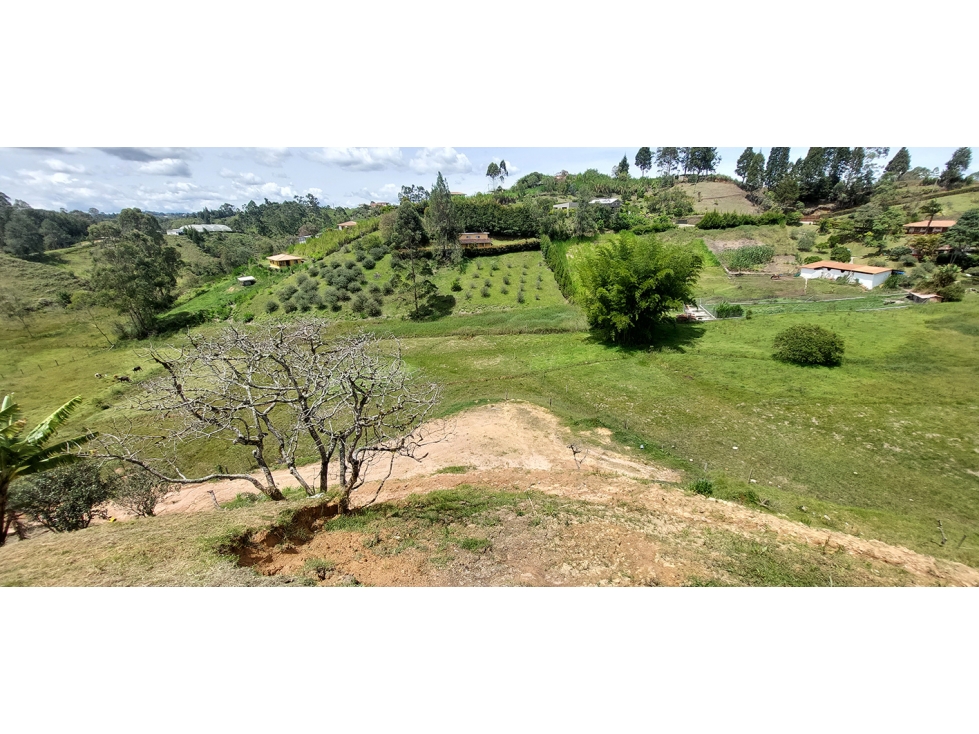 Lote en Venta en Las Palmas, Rionegro - 4