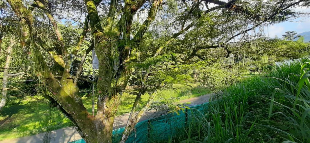 Lote en venta en Chorro De La Plata, Cali, 1650 m² · foto 7 de 18